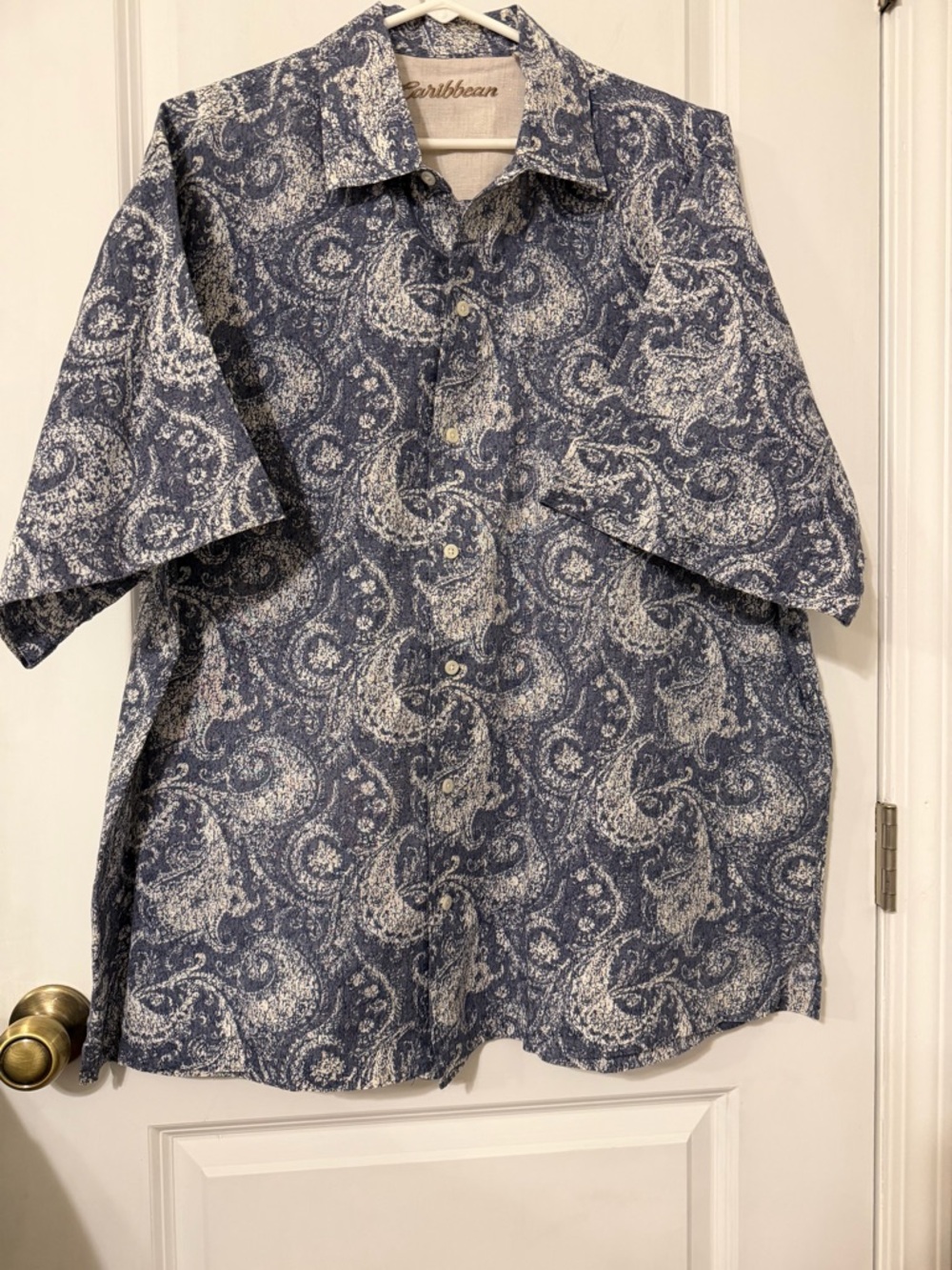 Caribbean Navy and White Paisley Short-Sleeve Button-Down Shirt